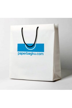 Paperbag 23x10x23
